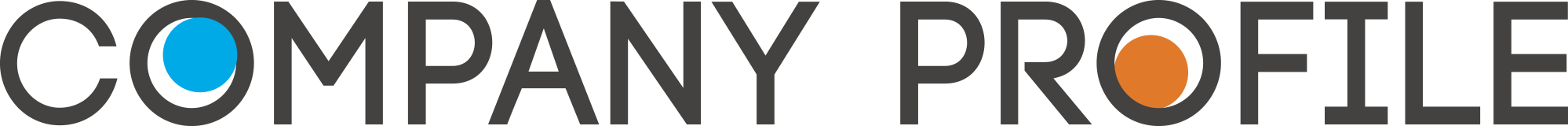 company profile